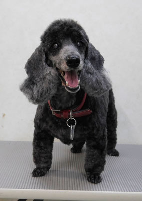 梶原リヴちゃん