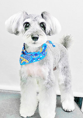 糸山そらちゃん