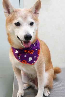 有馬コタロウちゃん