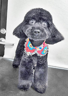 野口サニーちゃん