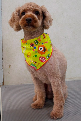 山元風介ちゃん助村るぅちゃん