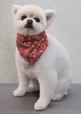 千葉チビちゃん