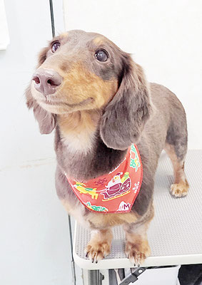 楠畑ルークちゃん