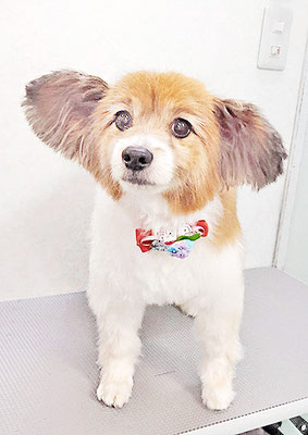 玉利ゆずちゃん