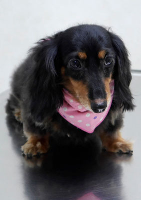 山下マルチョンちゃん