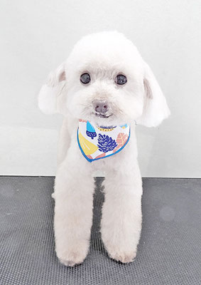 田淵コマロちゃん