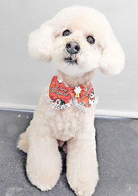 濱村小太郎ちゃん