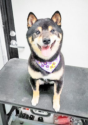 中野めらんちゃん