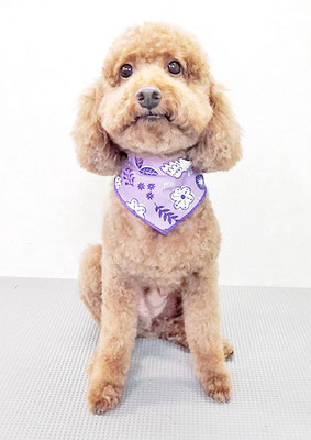 鶴虎太郎ちゃん