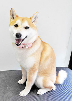 小村ゆずちゃん