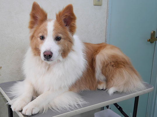 森本アンズちゃん