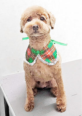 山元風介ちゃん