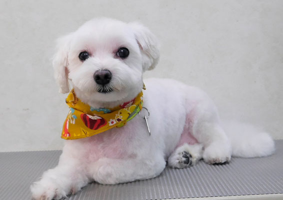 山口フウタちゃん