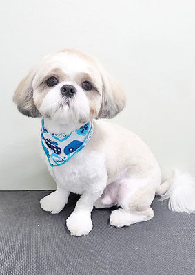 榊原もちちゃん