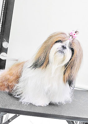 眞邉モモちゃん