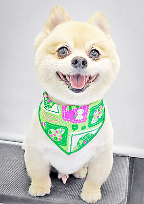 橋レオちゃん