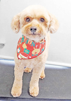 玉利ココちゃん