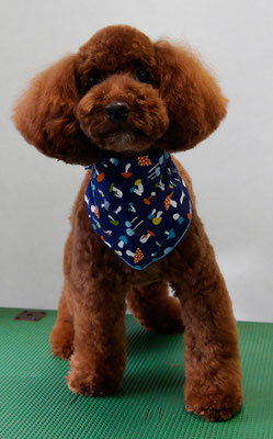 山元風介ちゃん