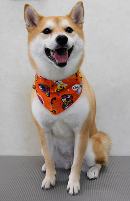 小村ユズちゃん