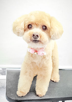 堀内まりもちゃん