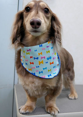 米田ジローちゃん