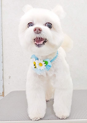 中村ココちゃん