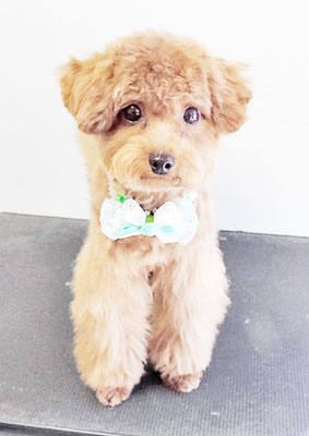 二見りくちゃん