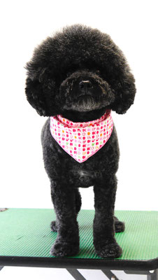 奥平アクアちゃん