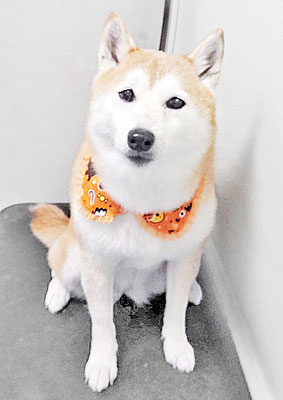 小村ゆずちゃん