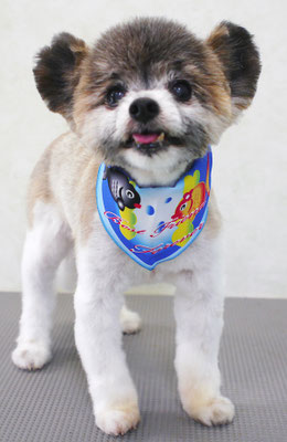 竹田ショウちゃん