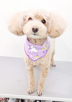 富永モカちゃん