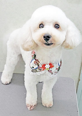 福嶋ルンちゃん