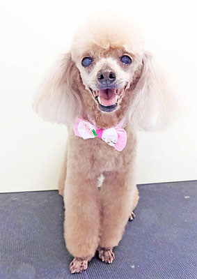 平松クーちゃん