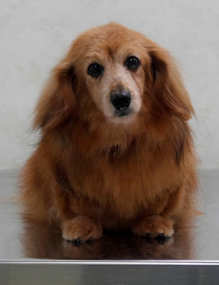 川吉モモちゃん