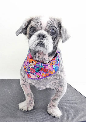 有馬陸斗ちゃん