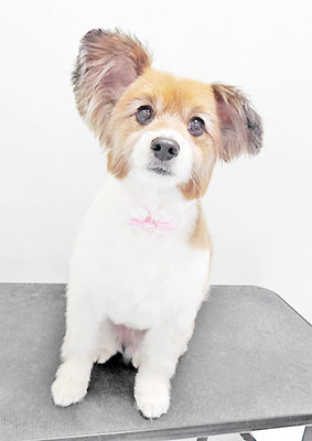 玉利ゆずちゃん