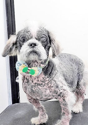 有馬陸斗ちゃん