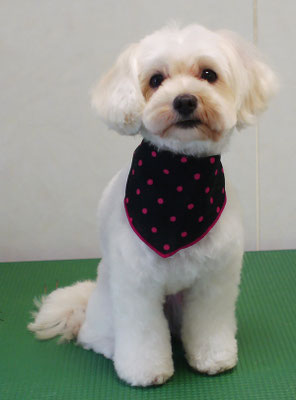 濱島クレアちゃん