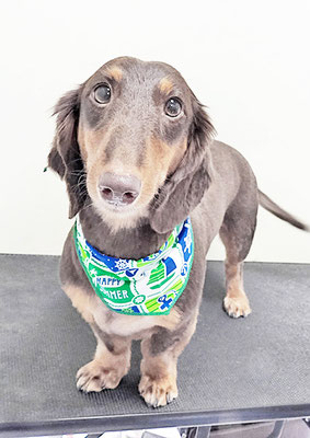 楠畑ルークちゃん