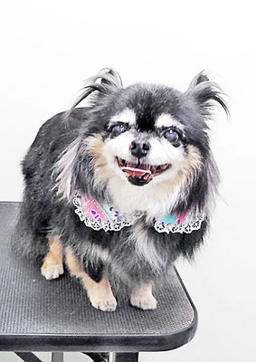 福留まろちゃん