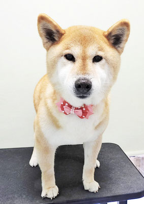 瀧川カルちゃん