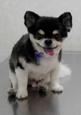 濱本シュウちゃん