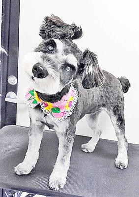 西留ココちゃん