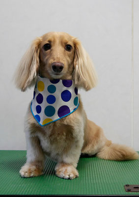 片山マルルちゃん