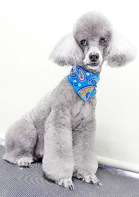 竹崎コナンちゃん