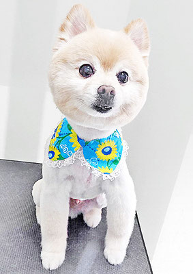 徳留クマちゃん