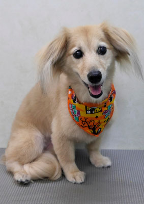 江口エルちゃん