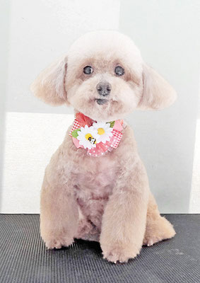 福田ダイアリーちゃん