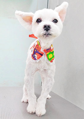 福元ミルクちゃん