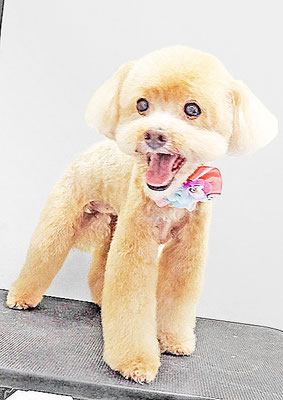堀内まりもちゃん